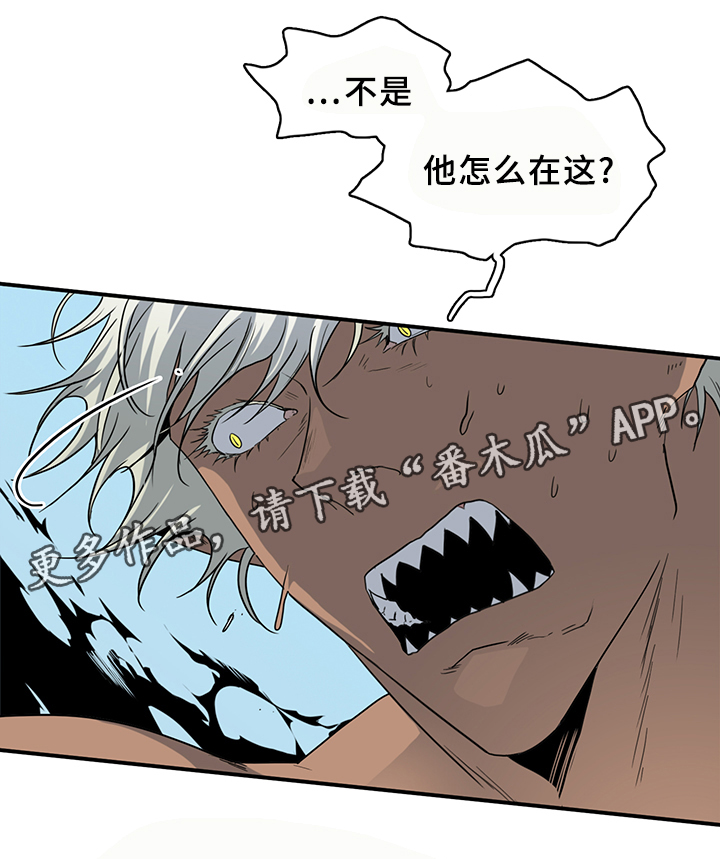《黑焰纹章》第91章找到 第33页