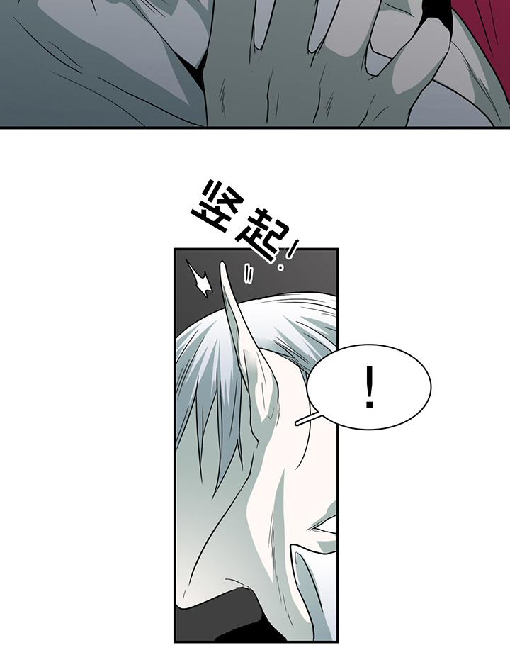 《黑焰纹章》第88章神秘人 第15页