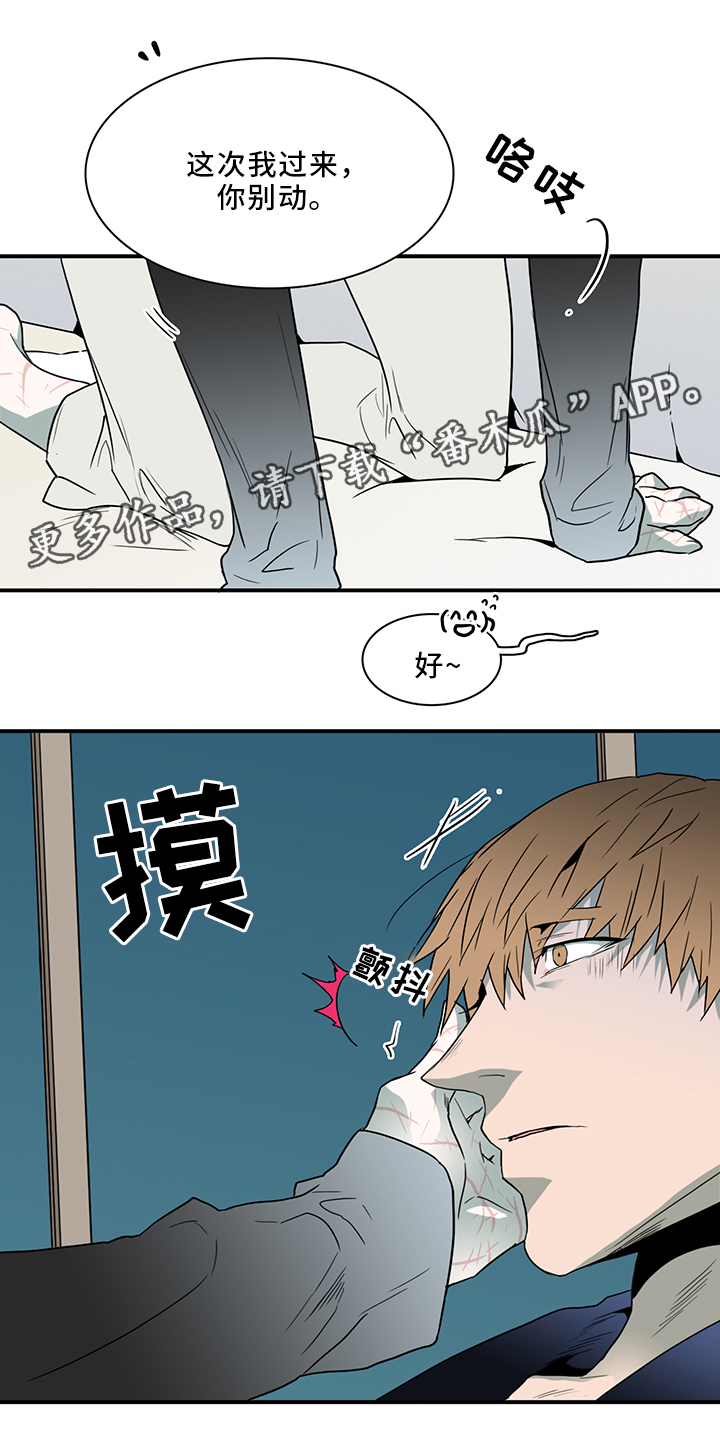 《黑焰纹章》第87章不要妨碍我 第3页