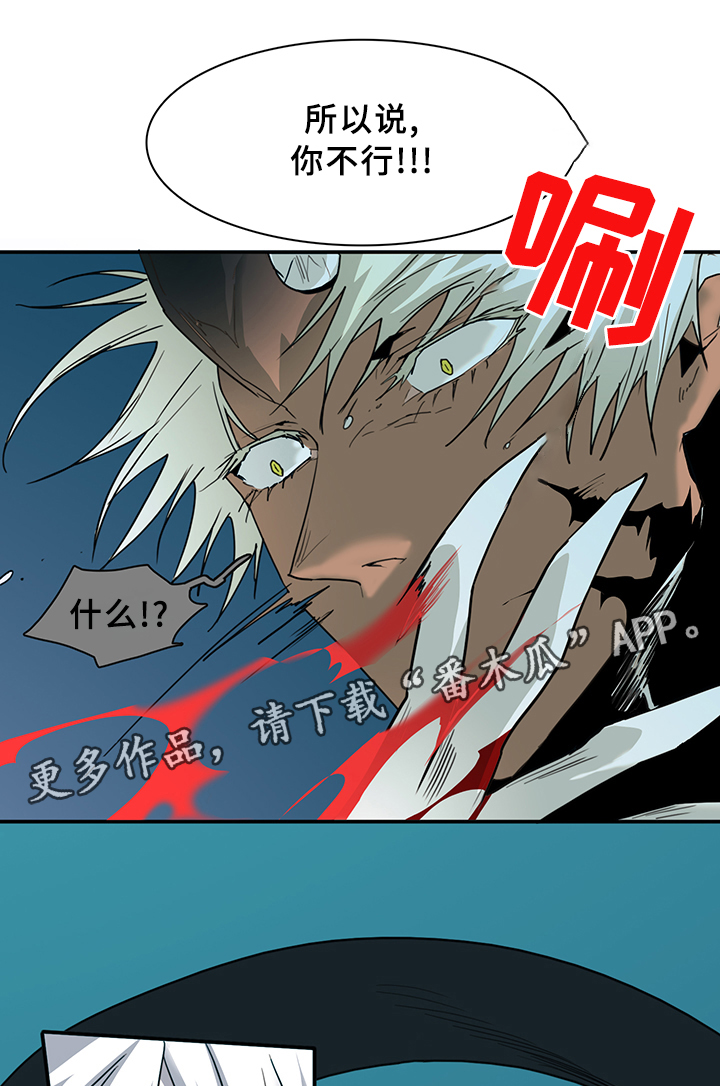 《黑焰纹章》第81章选择 第15页