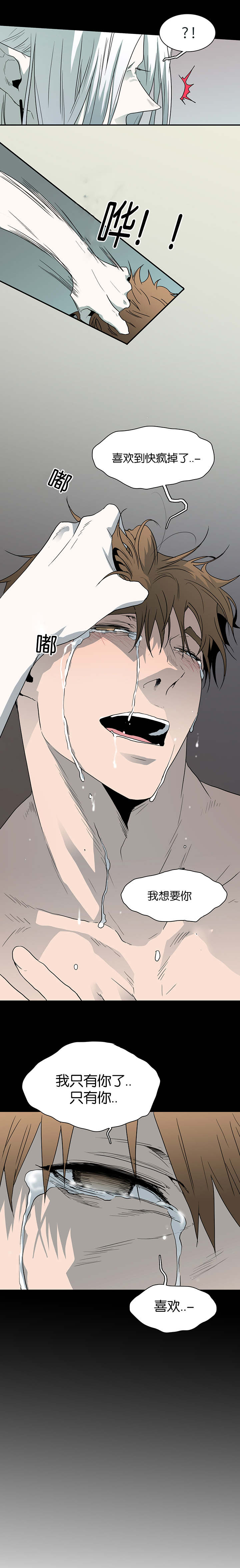 《黑焰纹章》第40章受伤归来 第8页