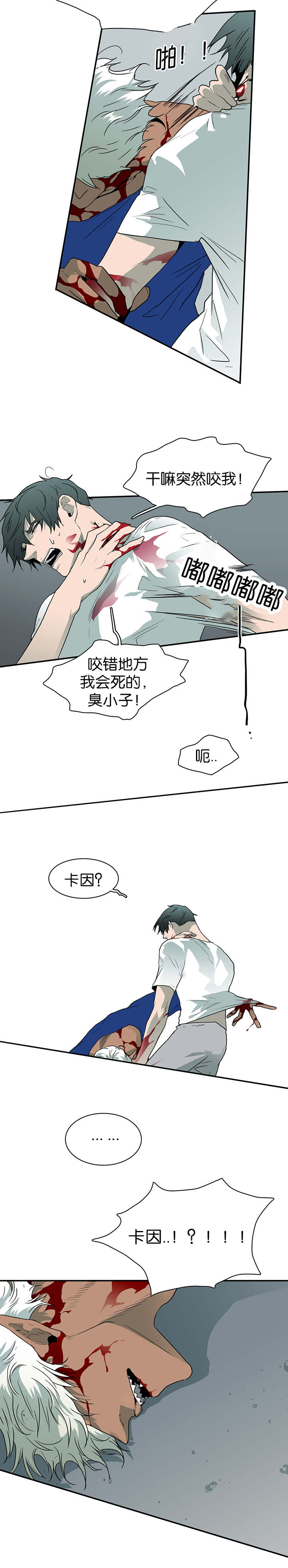 《黑焰纹章》第41章失意 第2页