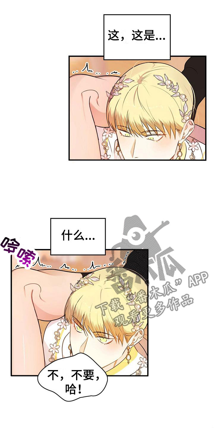 《魔魅深渊》第16章摆脱痛苦 第13页