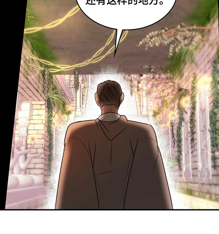 《魔魅深渊》第27章救命 第11页
