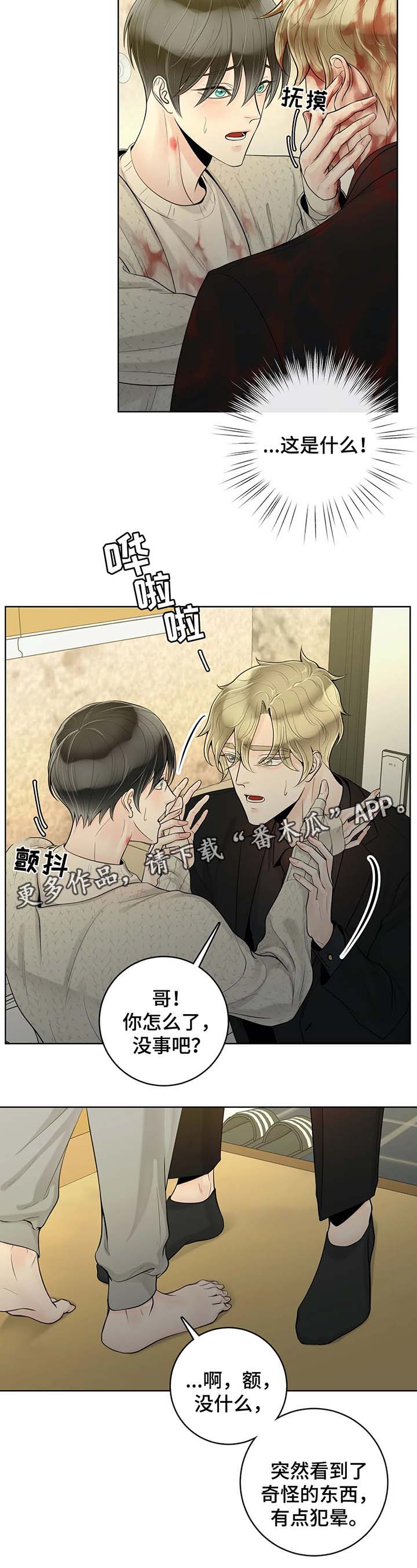 《合约期伙伴》第53章奇怪的东西 第2页