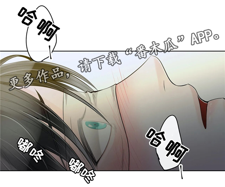 《合约期伙伴》第59章仓库 第2页