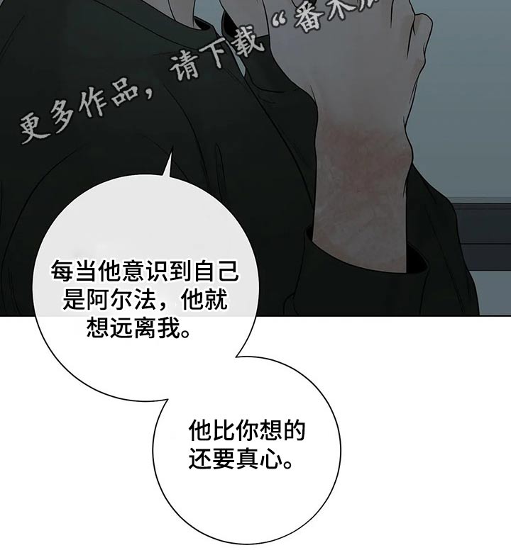 《合约期伙伴》第113章【第二季】来电 第11页