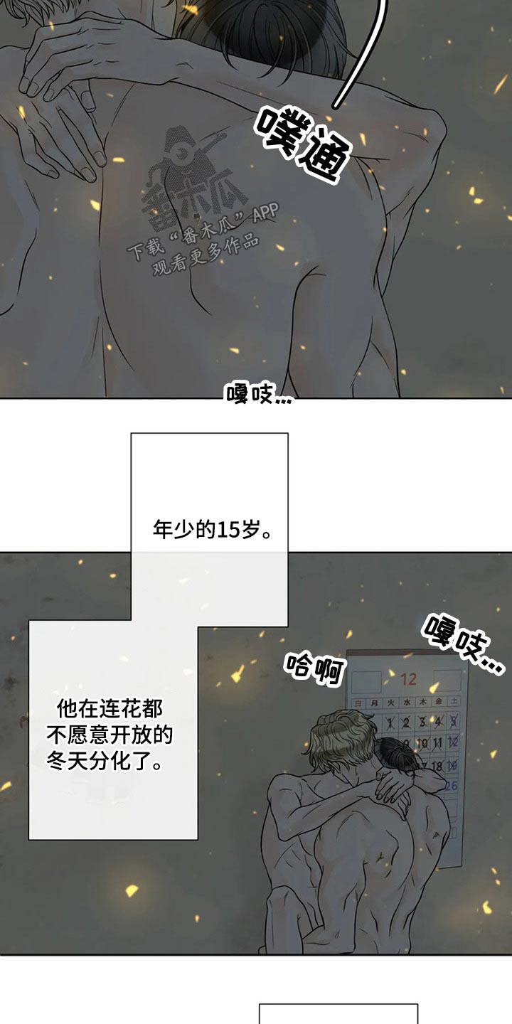 《合约期伙伴》第117章【第二季】自愿 第6页