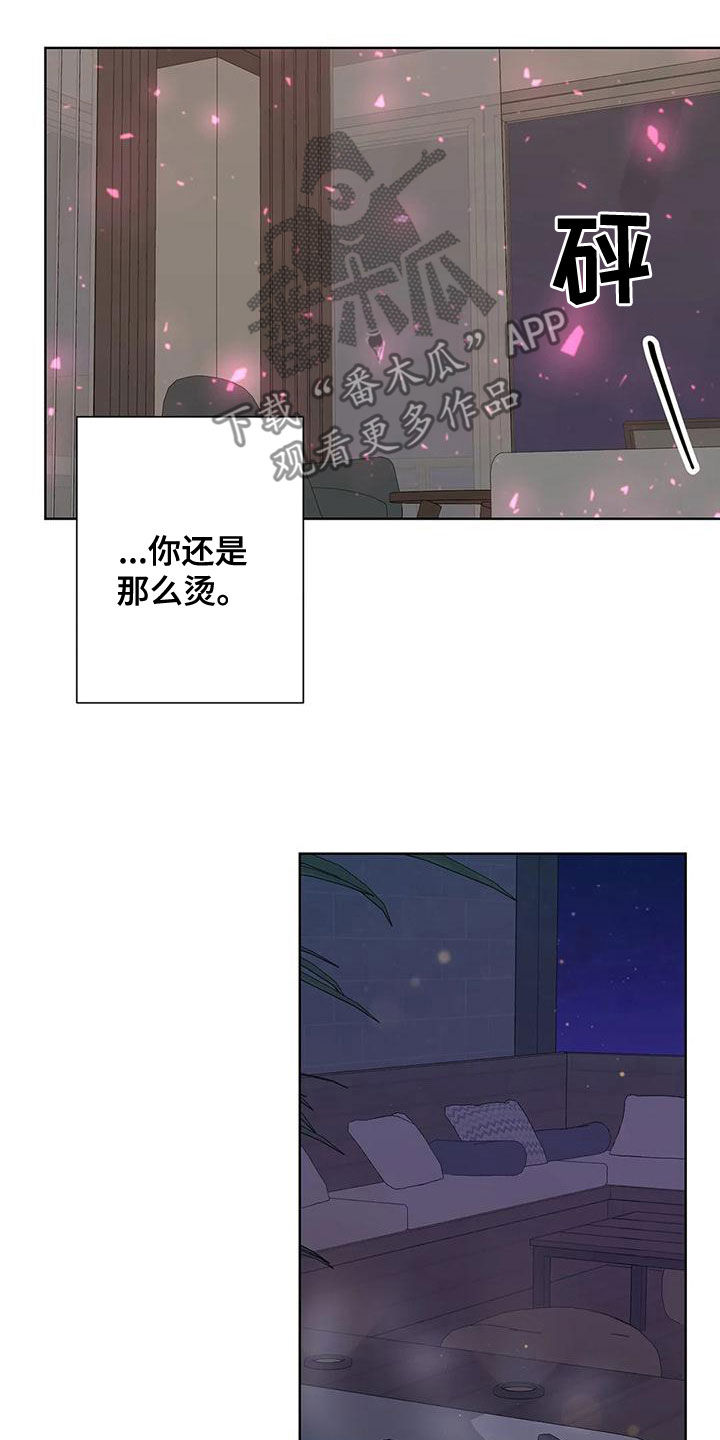 《合约期伙伴》第131章【番外】别再让我发疯 第16页