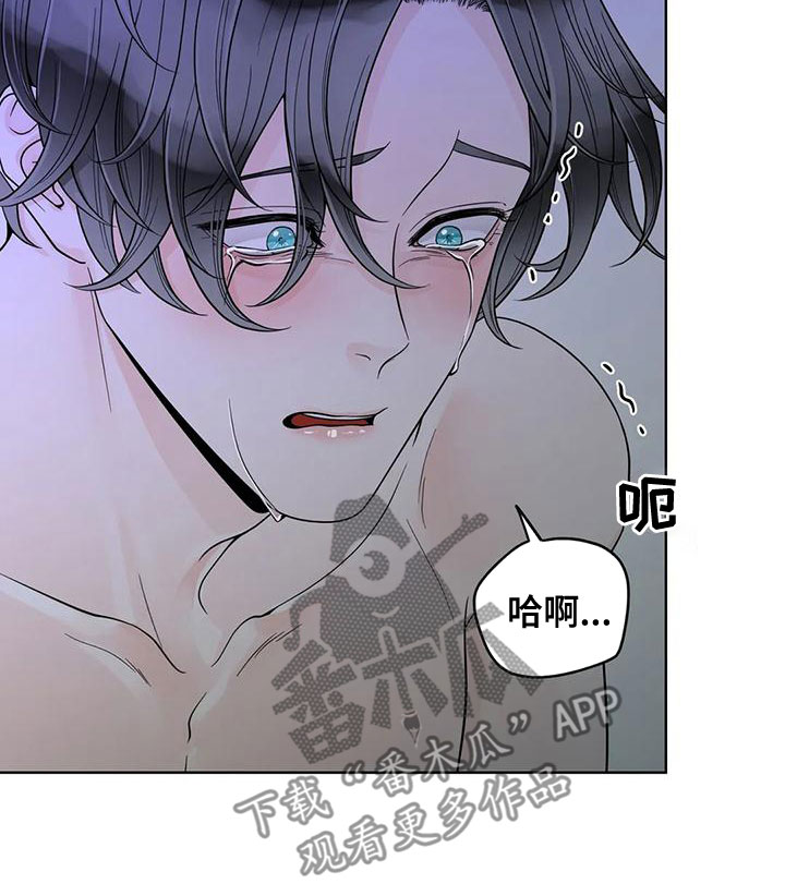 《合约期伙伴》第135章【番外】我在这 第14页