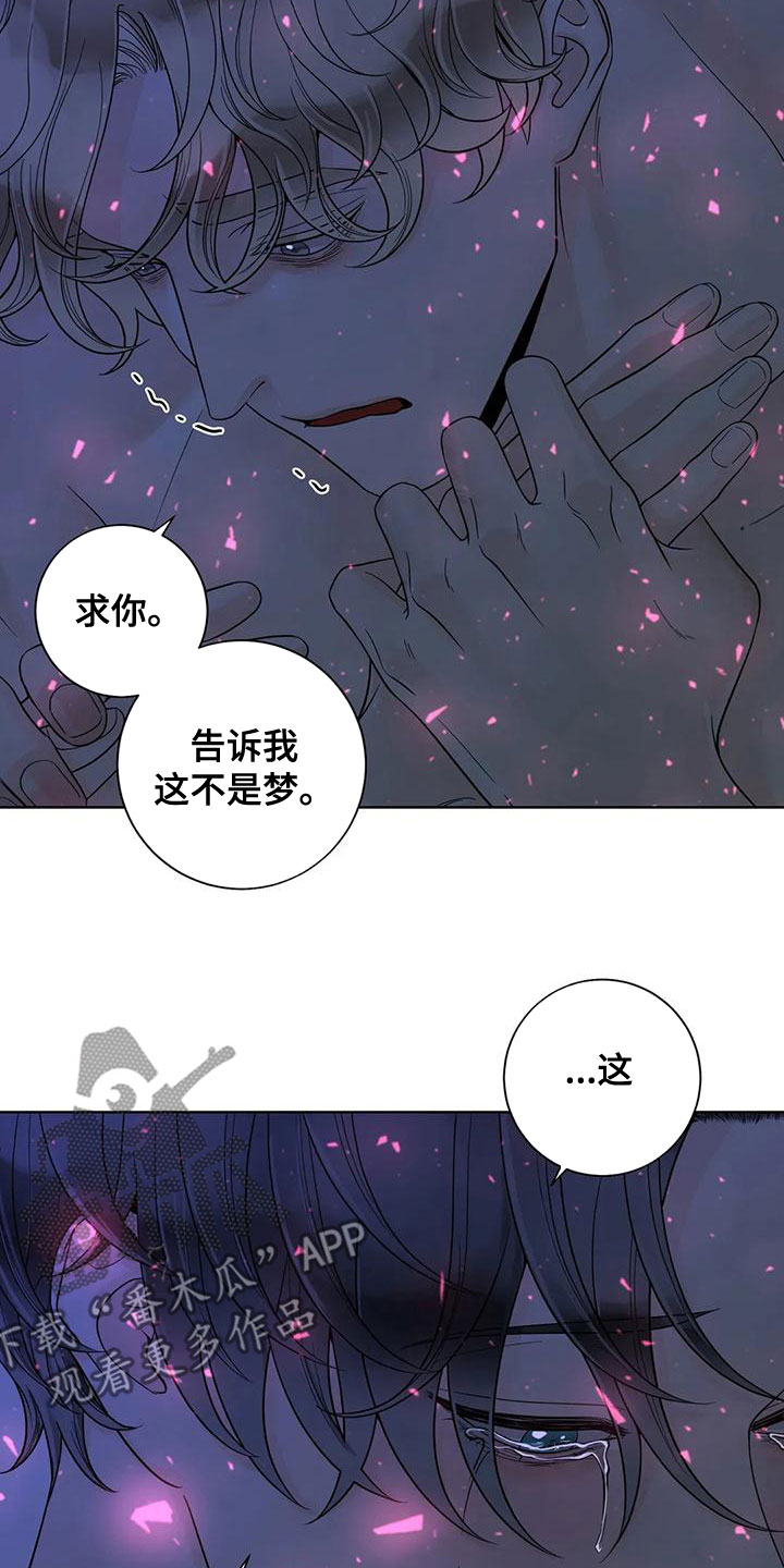 《合约期伙伴》第136章【番外】像梦一样 第4页
