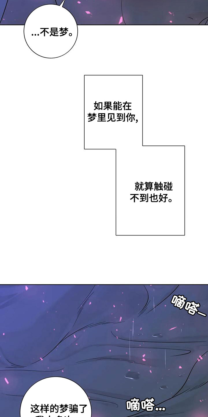 《合约期伙伴》第136章【番外】像梦一样 第5页