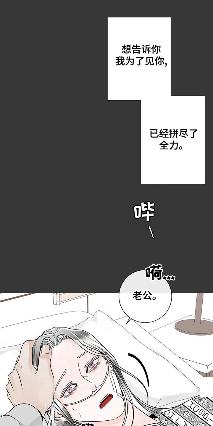 《合约期伙伴》第140章【番外】和我结婚吧 第10页