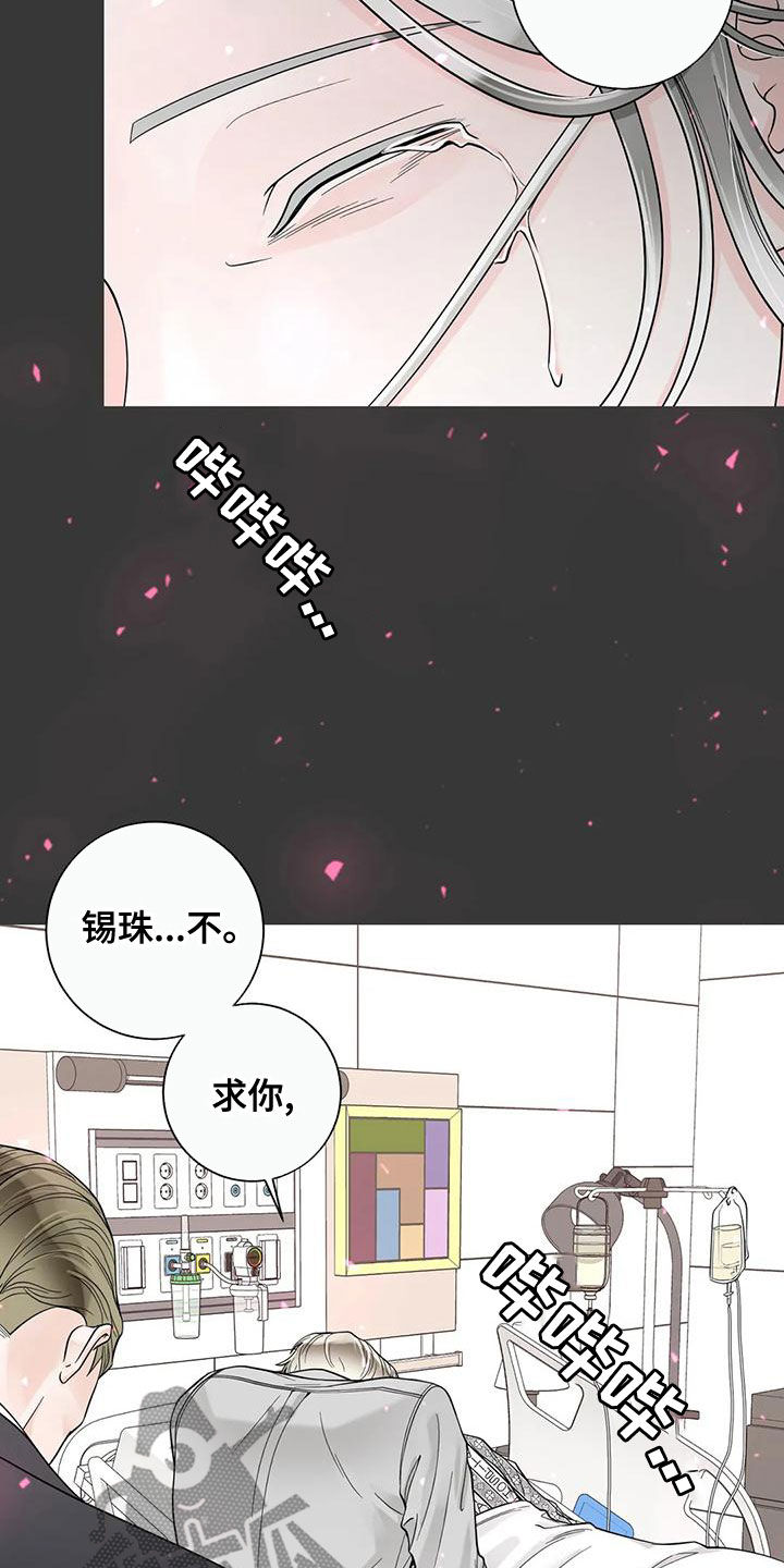 《合约期伙伴》第140章【番外】和我结婚吧 第15页