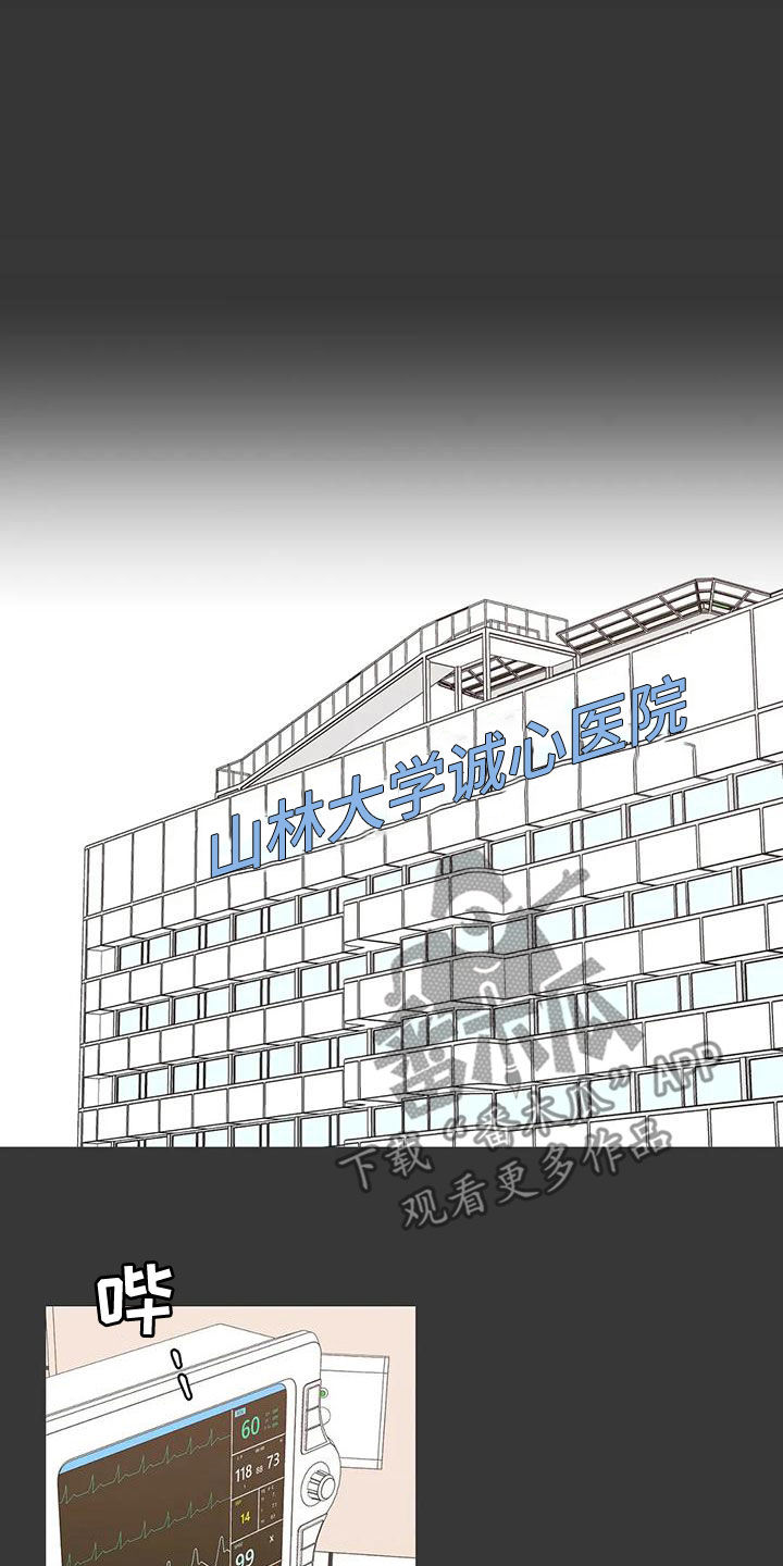 《合约期伙伴》第140章【番外】和我结婚吧 第5页