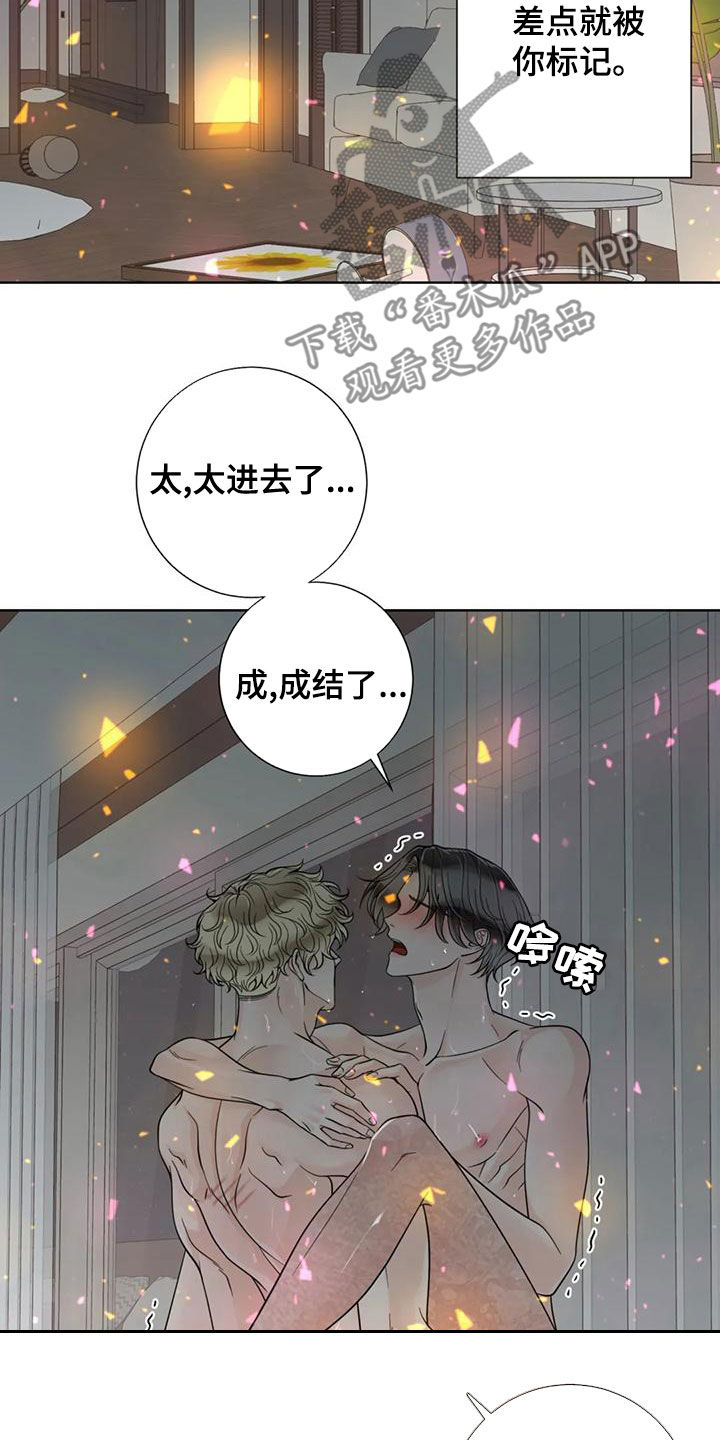 《合约期伙伴》第144章【番外】谢谢你 第10页