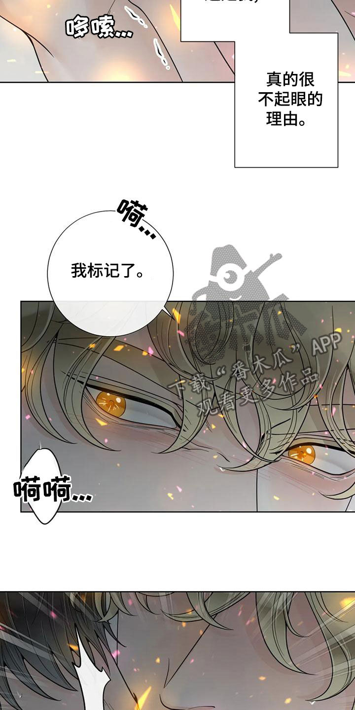 《合约期伙伴》第144章【番外】谢谢你 第14页