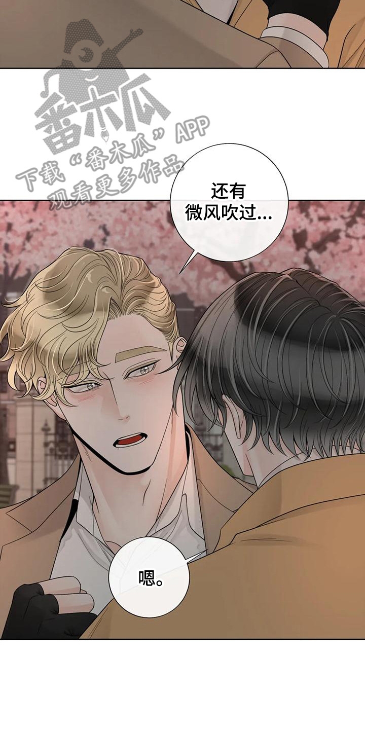 《合约期伙伴》第147章【番外】表白 第14页