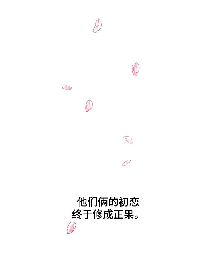《合约期伙伴》第147章【番外】表白 第25页