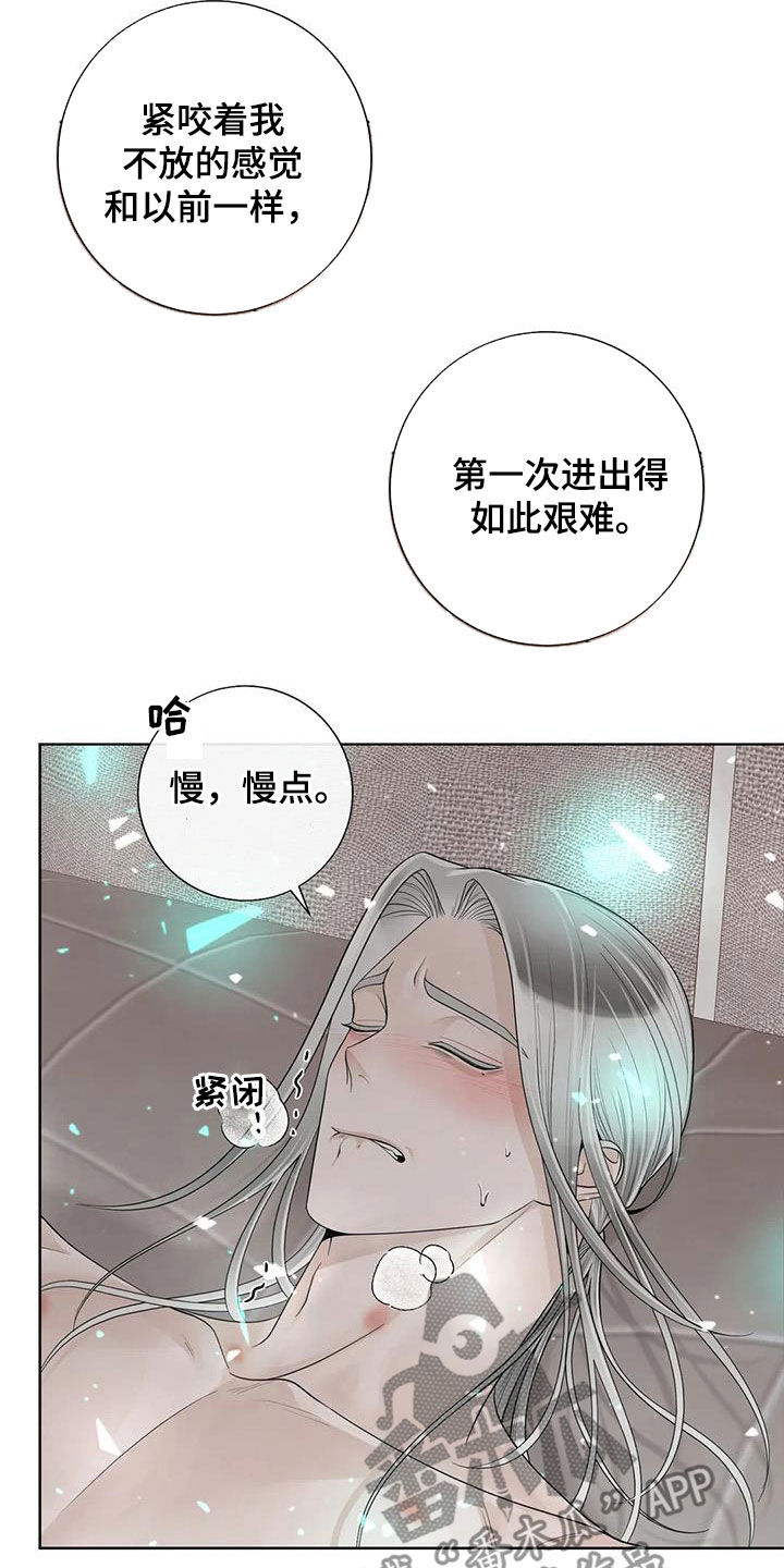 《合约期伙伴》第162章【番外】一样的心 第13页