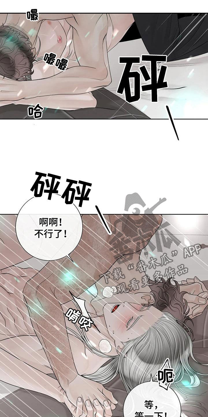 《合约期伙伴》第162章【番外】一样的心 第17页