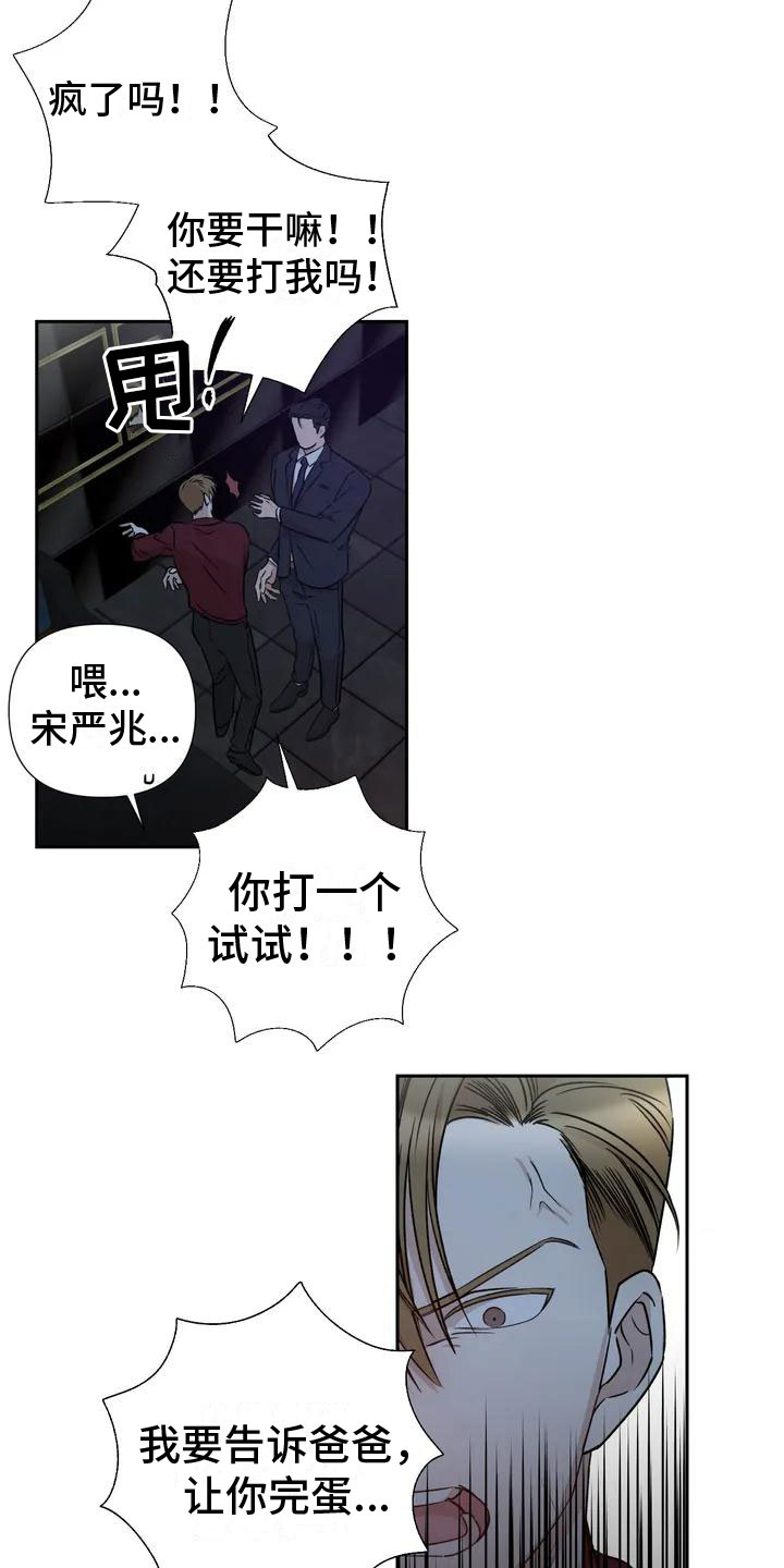 《危险保镖》第2章他来了 第10页