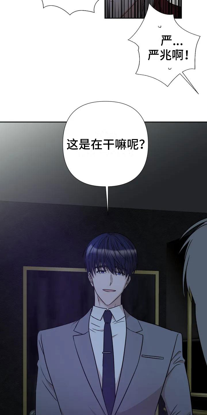 《危险保镖》第2章他来了 第11页