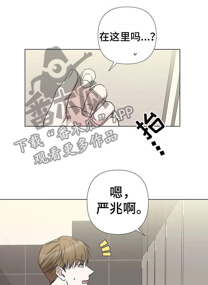 《危险保镖》第5章威逼利诱 第11页