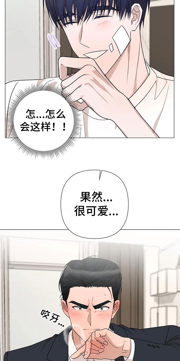 《危险保镖》第8章他的哥哥 第8页