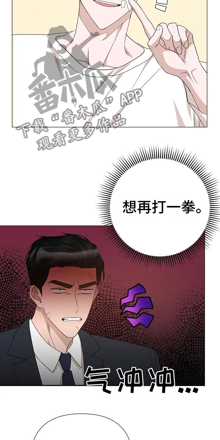 《危险保镖》第7章疯子 第10页