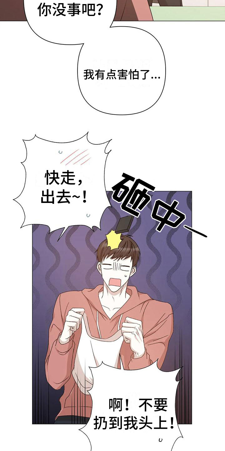 《危险保镖》第10章想起 第17页
