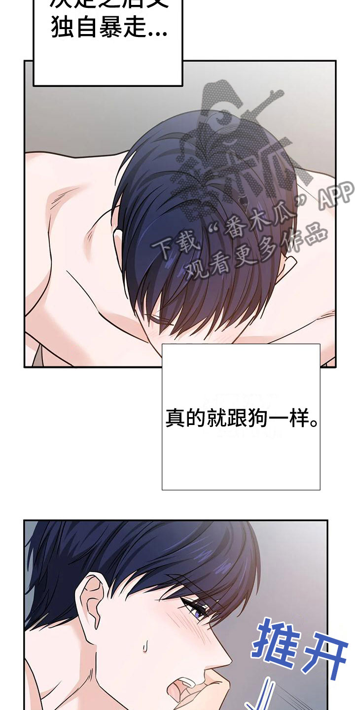 《危险保镖》第16章答应 第17页