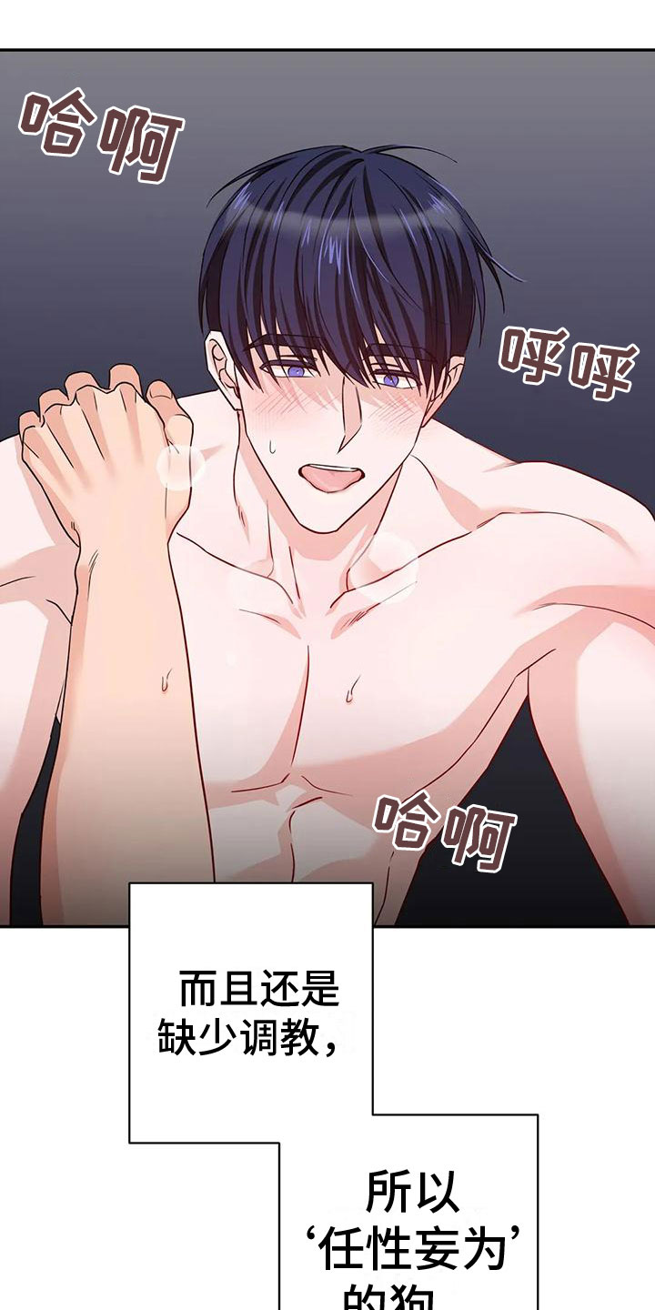 《危险保镖》第16章答应 第4页