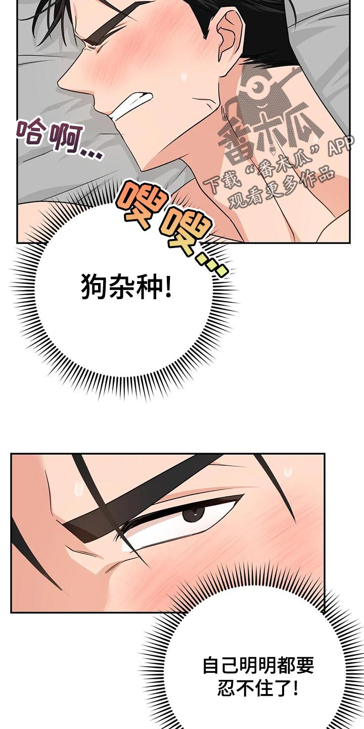 《危险保镖》第18章执念 第4页