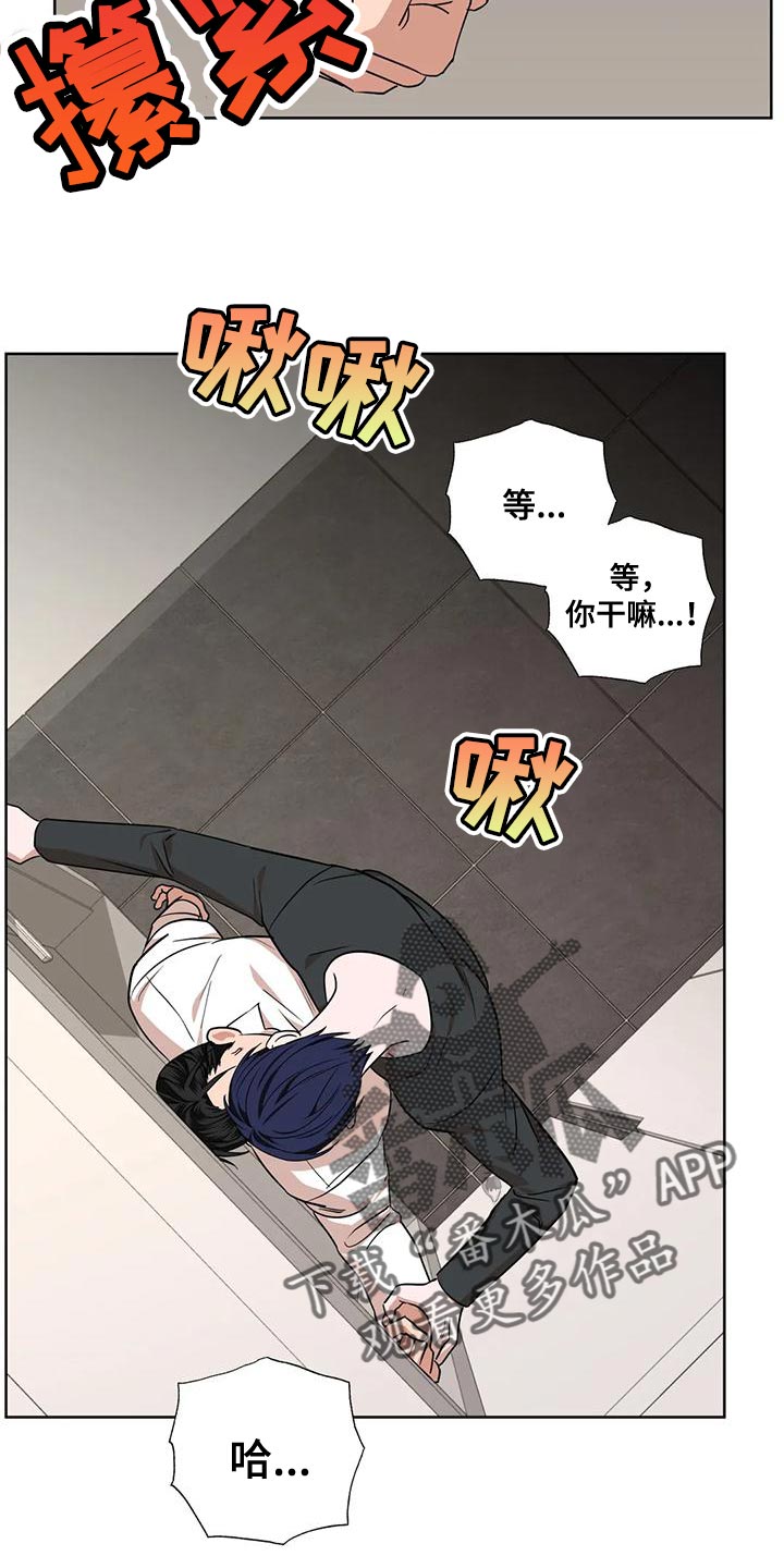 《危险保镖》第20章不爽 第16页