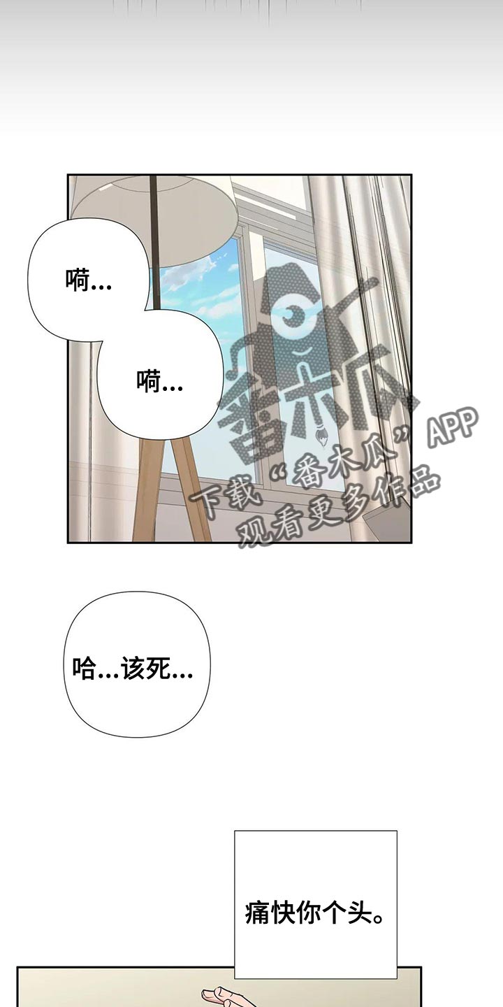 《危险保镖》第25章唯一的行程 第7页
