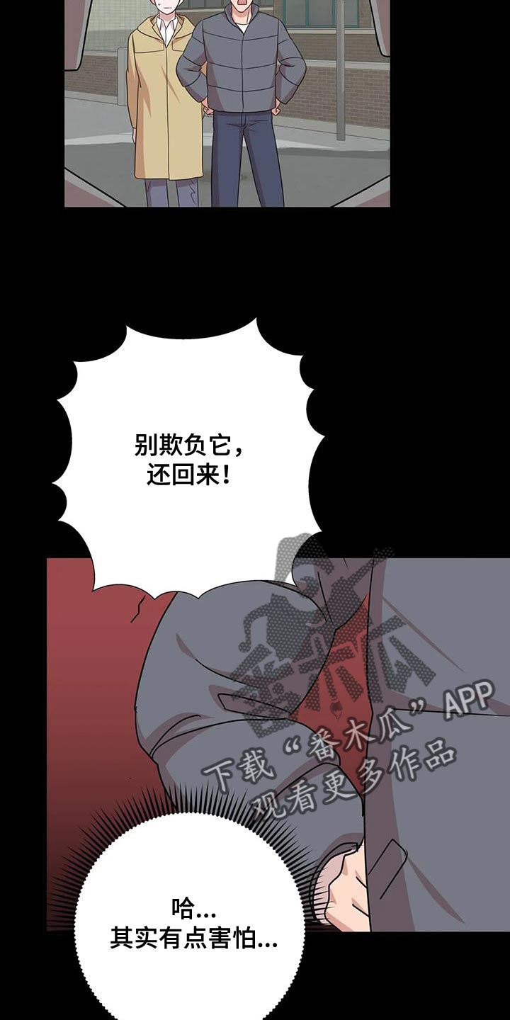 《危险保镖》第32章保护 第11页