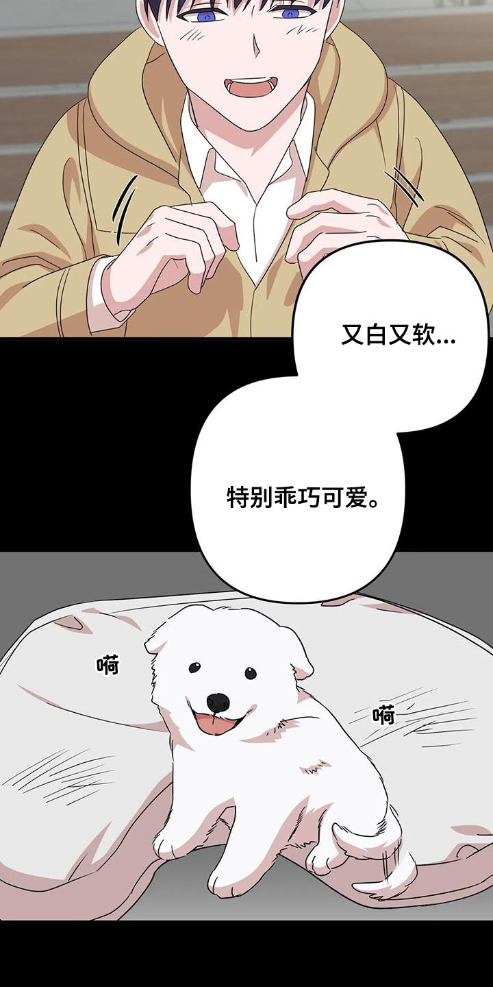 《危险保镖》第31章唯一的朋友 第14页
