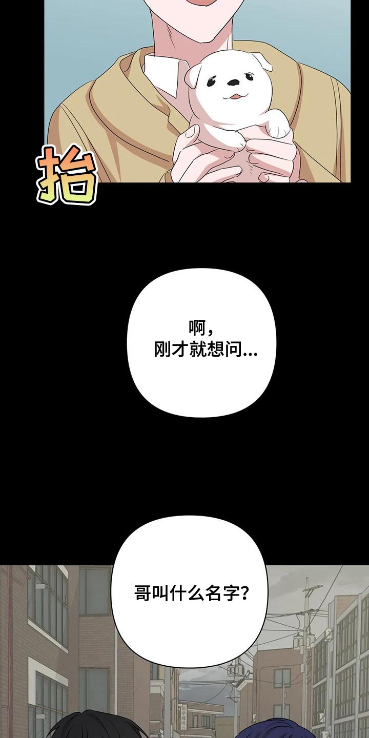《危险保镖》第34章重新回去比较好 第4页