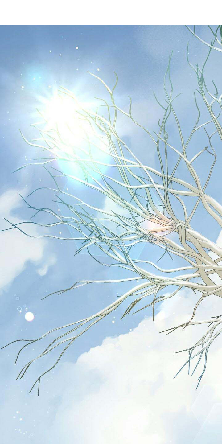 《循环世界》第1章我的骑士 第2页