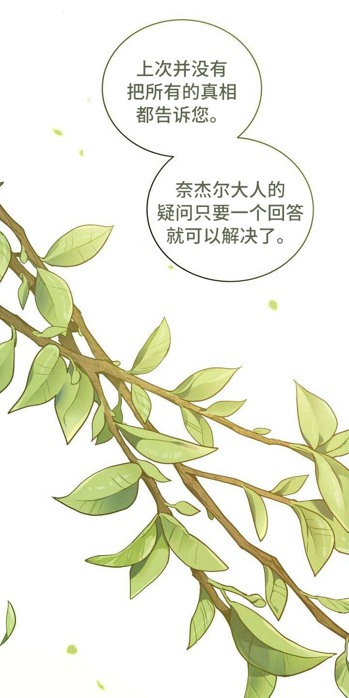 《循环世界》第27章部分真相 第13页