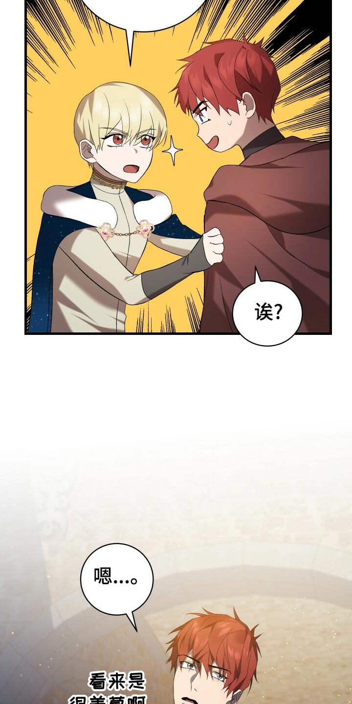 《循环世界》第50章充分的准备 第14页