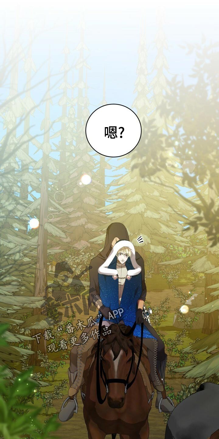 《循环世界》第51章数据 第3页