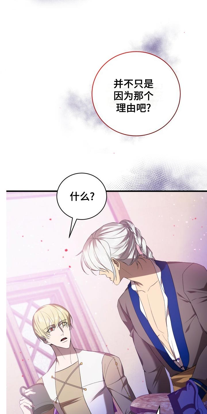 《循环世界》第57章试探 第17页