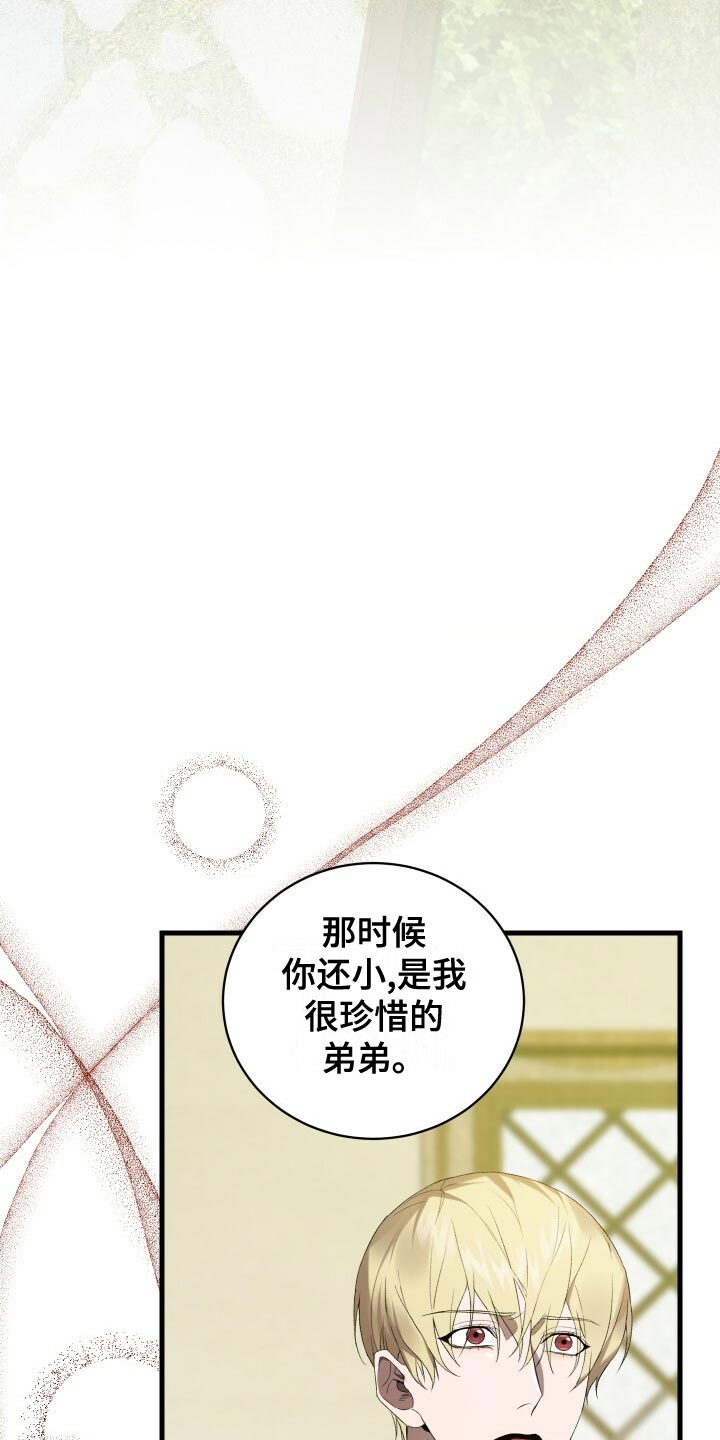 《循环世界》第58章往事 第17页