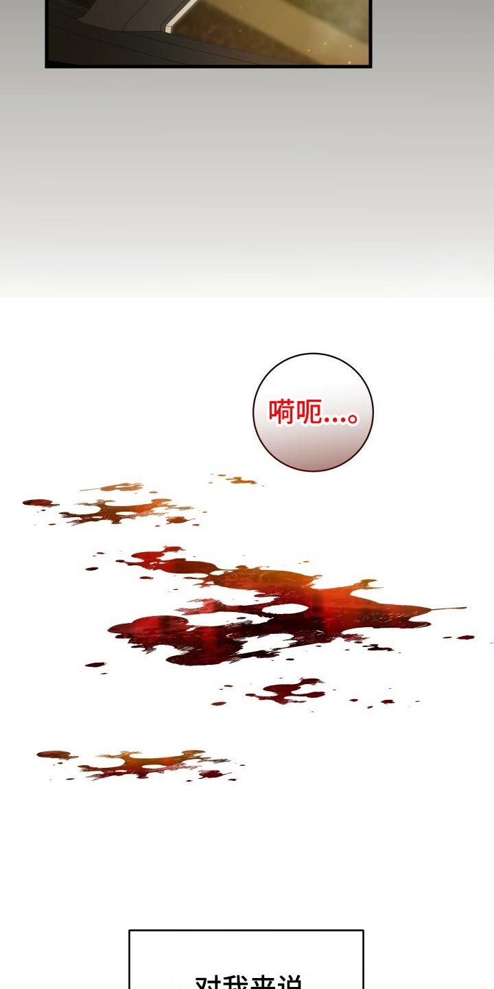 《循环世界》第61章不完美 第25页