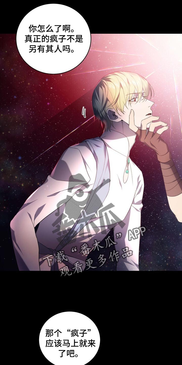 《循环世界》第70章真正的疯狂 第26页