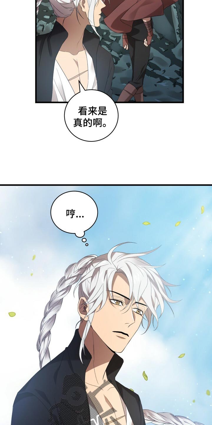 《循环世界》第74章灾难的碎片 第15页