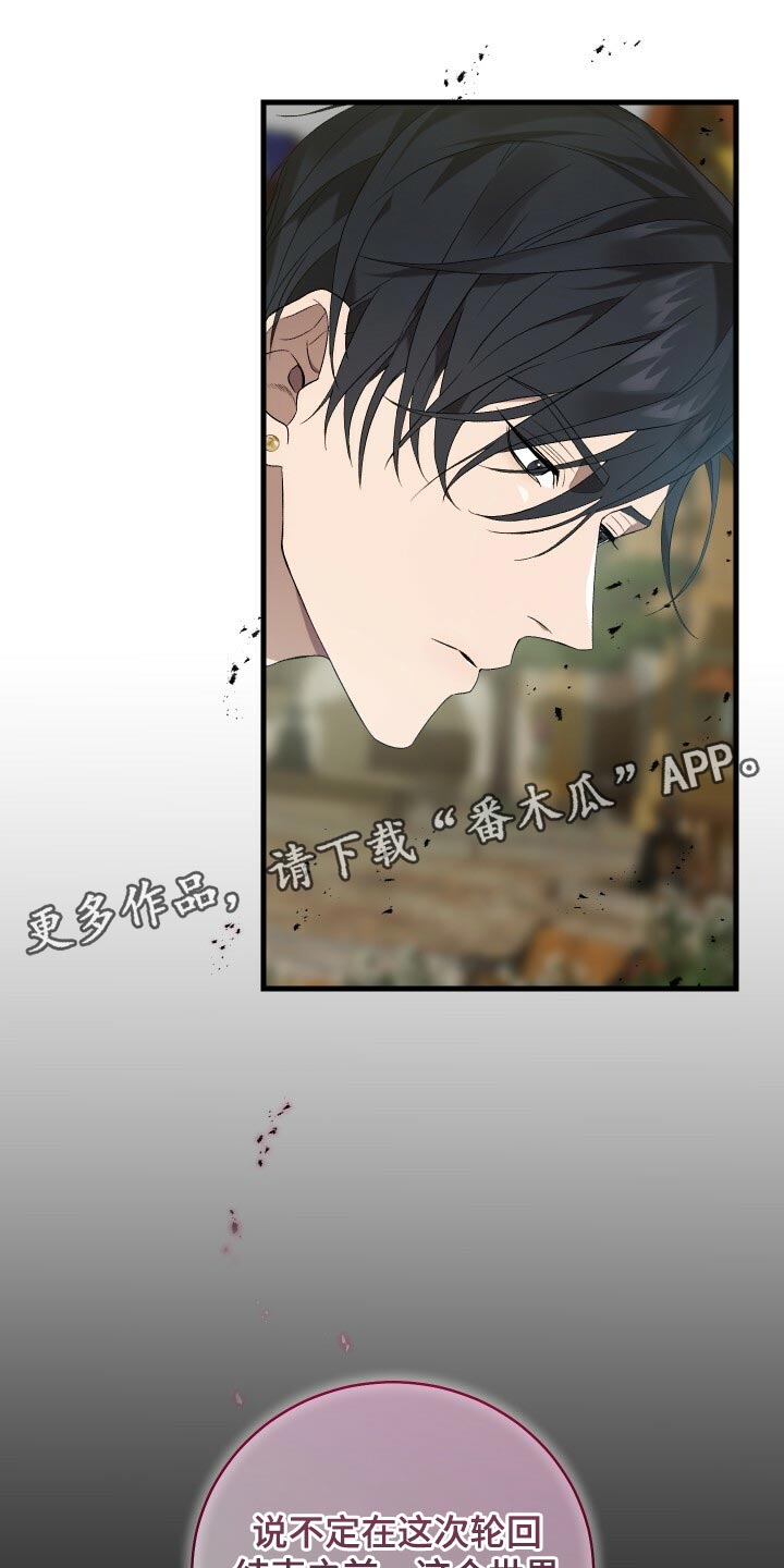 《循环世界》第74章灾难的碎片 第33页