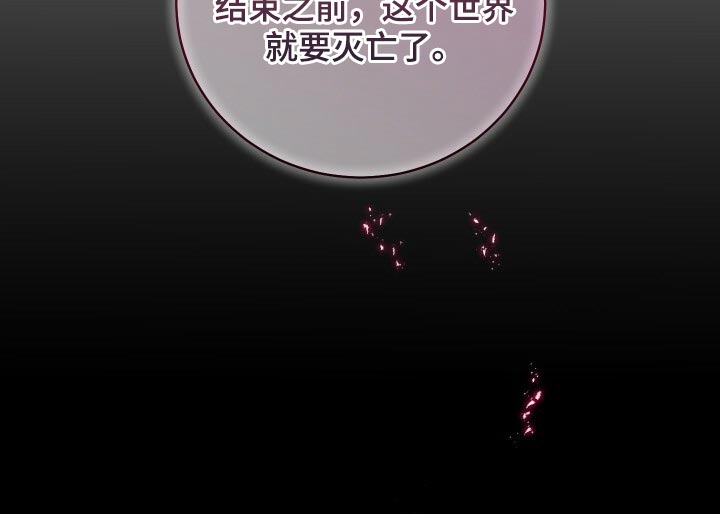 《循环世界》第74章灾难的碎片 第34页